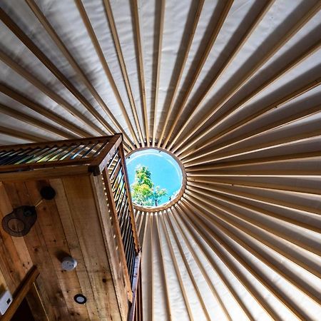 Yourtes Glamping Du Poisson Blanc Notre-Dame-du-Laus 外观 照片